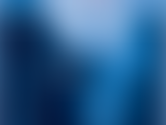 Authors gather for Bowman’s inaugural Derry launch