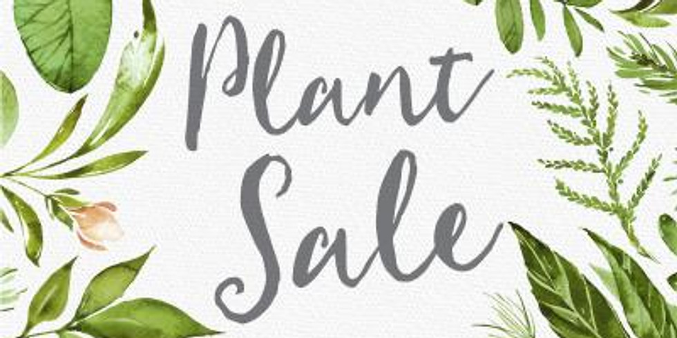 Plant Sale