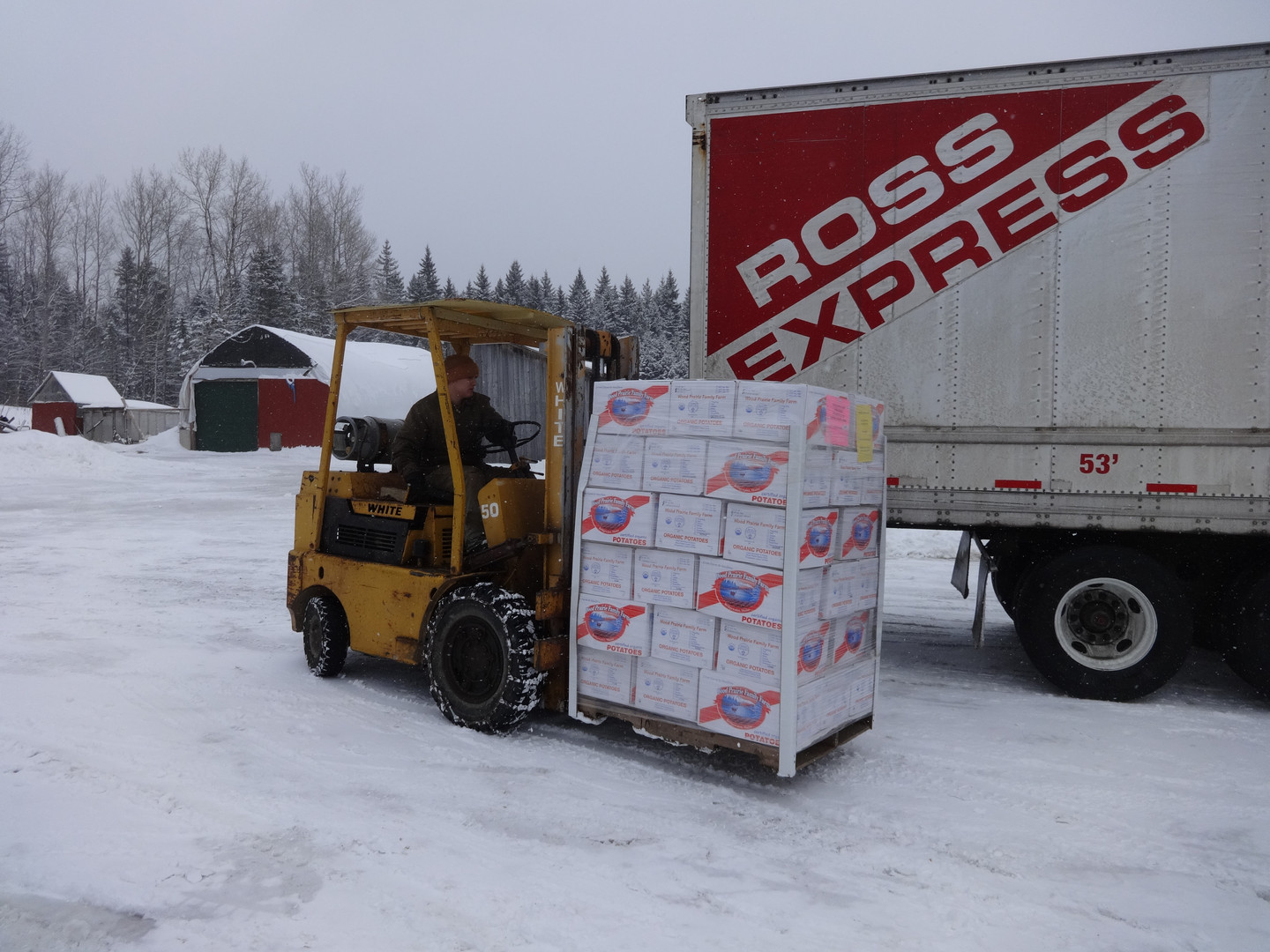 Snowy.Day.Caleb.Pallet.Ross.Express.3.1.