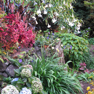 The Flower Border.jpg