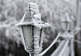 Poem for February, by Savannah Thorne