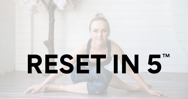 nervous system reset course, mindfulness and stress management, mental fitness