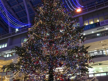 【練習日記】12/20 Youth豊平