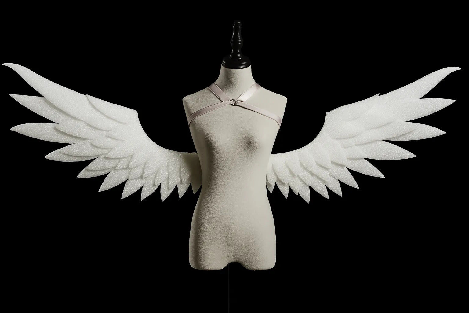 Waistborne Motorized Wings