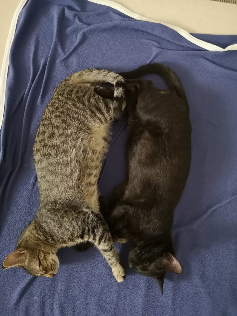 Rocco&Luigi