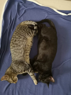 Rocco&Luigi