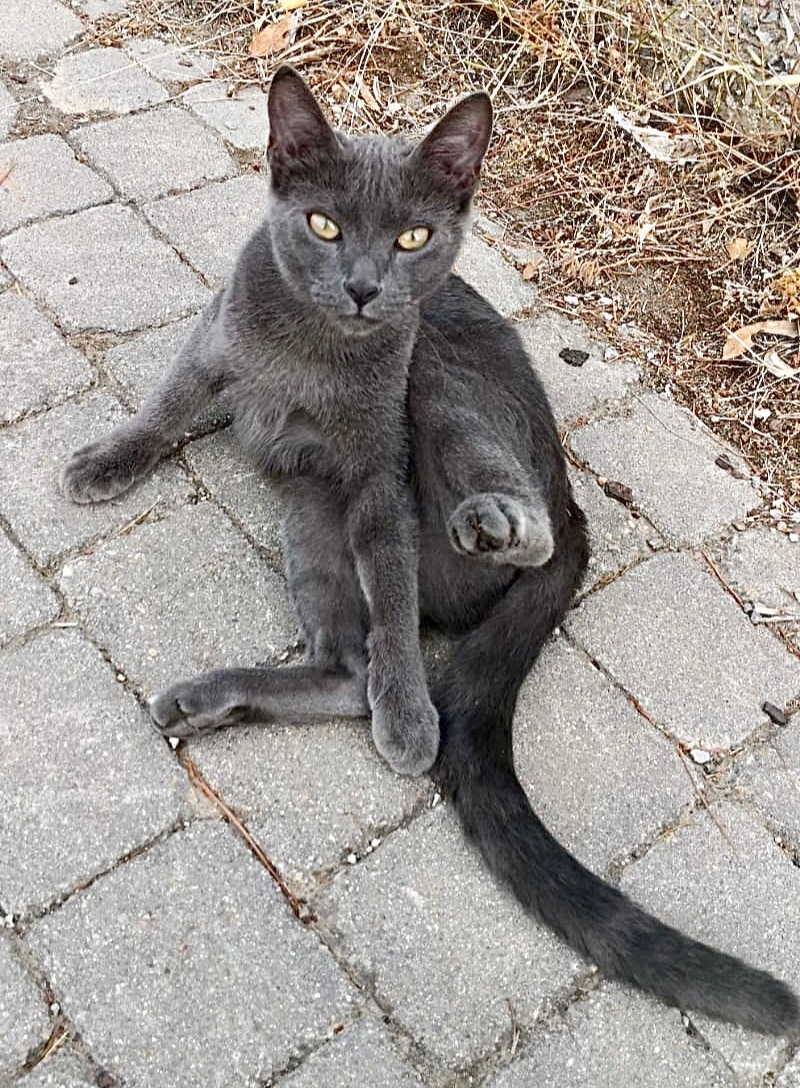 Luna