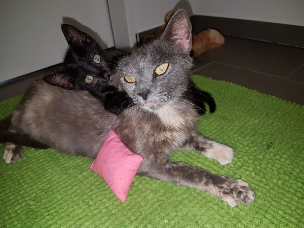 Gina&Lino
