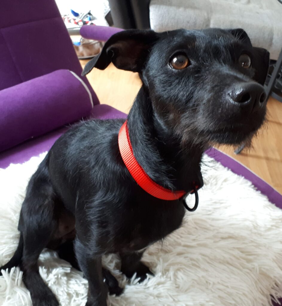 Betty