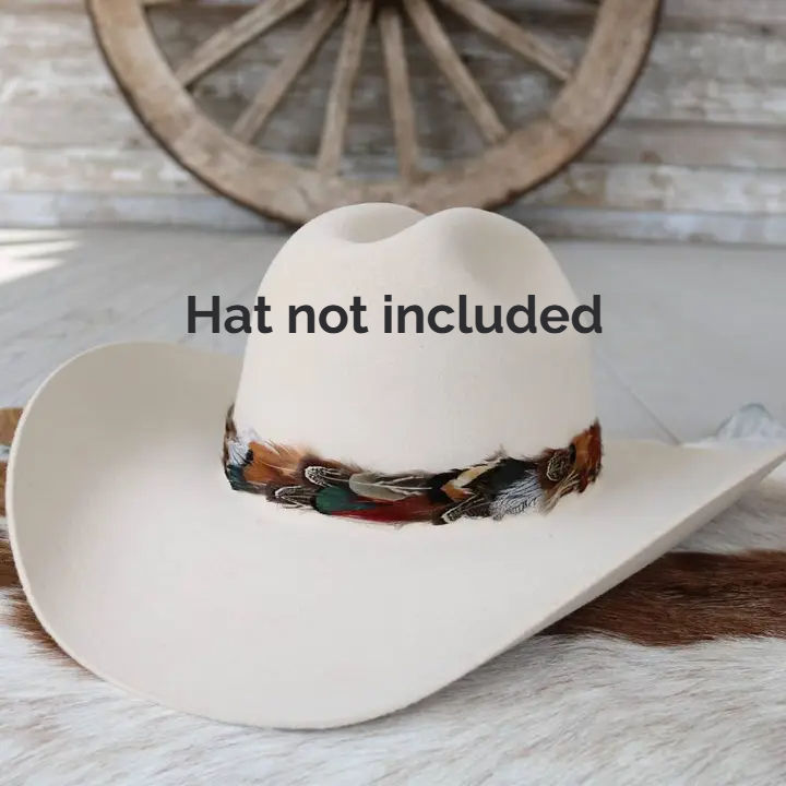 Vistoso western feather hat band with layered natural feathers and adjustable leather ties for cowboy hats