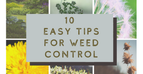 10 Easy Tips for Weed Control