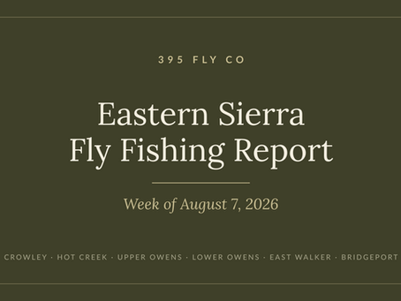 395 Fly Co Eastern Sierra fly fishing report, week of August 7, 2026