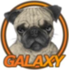 Perro Pug