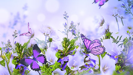 beautiful purple butterflies in field of flowers symbolizing Co-creating Your LIFE Consciously