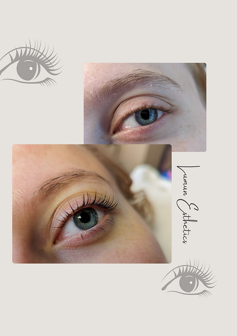 lash lami maryland.png