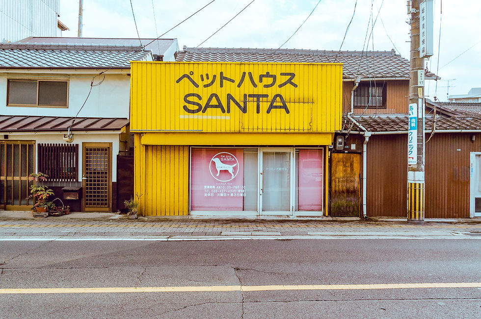 Yellow Pet Shop