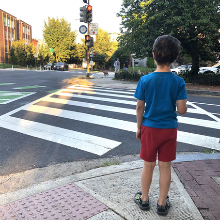 "Steve's Lesson: A Cautionary Tale of Crossing the Street"