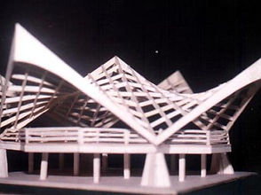 Wonder Island Multi-Purpose.jpg