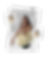 Download Link Pdf (1).png