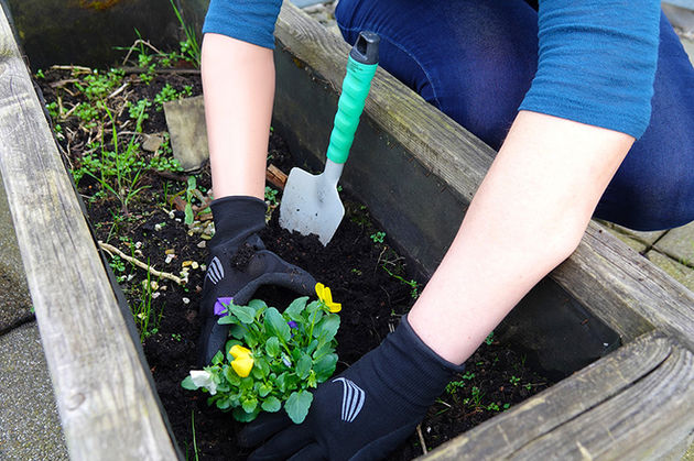 A prosthetic wearer is wearing work gloves from the company Glove Factory while gardening. She is planting a flower in a raised bed.
