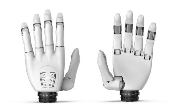 Weiße myoelektrische Handprothese, Innen- und Außenansicht mit ausgestreckten Fingern