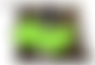 【烏克蘭的戰火】