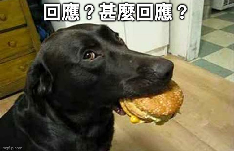 【回應?甚麼回應?】