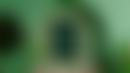 【遠大夢想，始於小步】