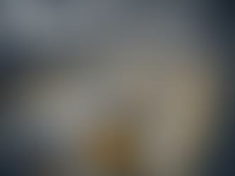 Maximizing Manufacturing Efficiency Through Expert Consulting