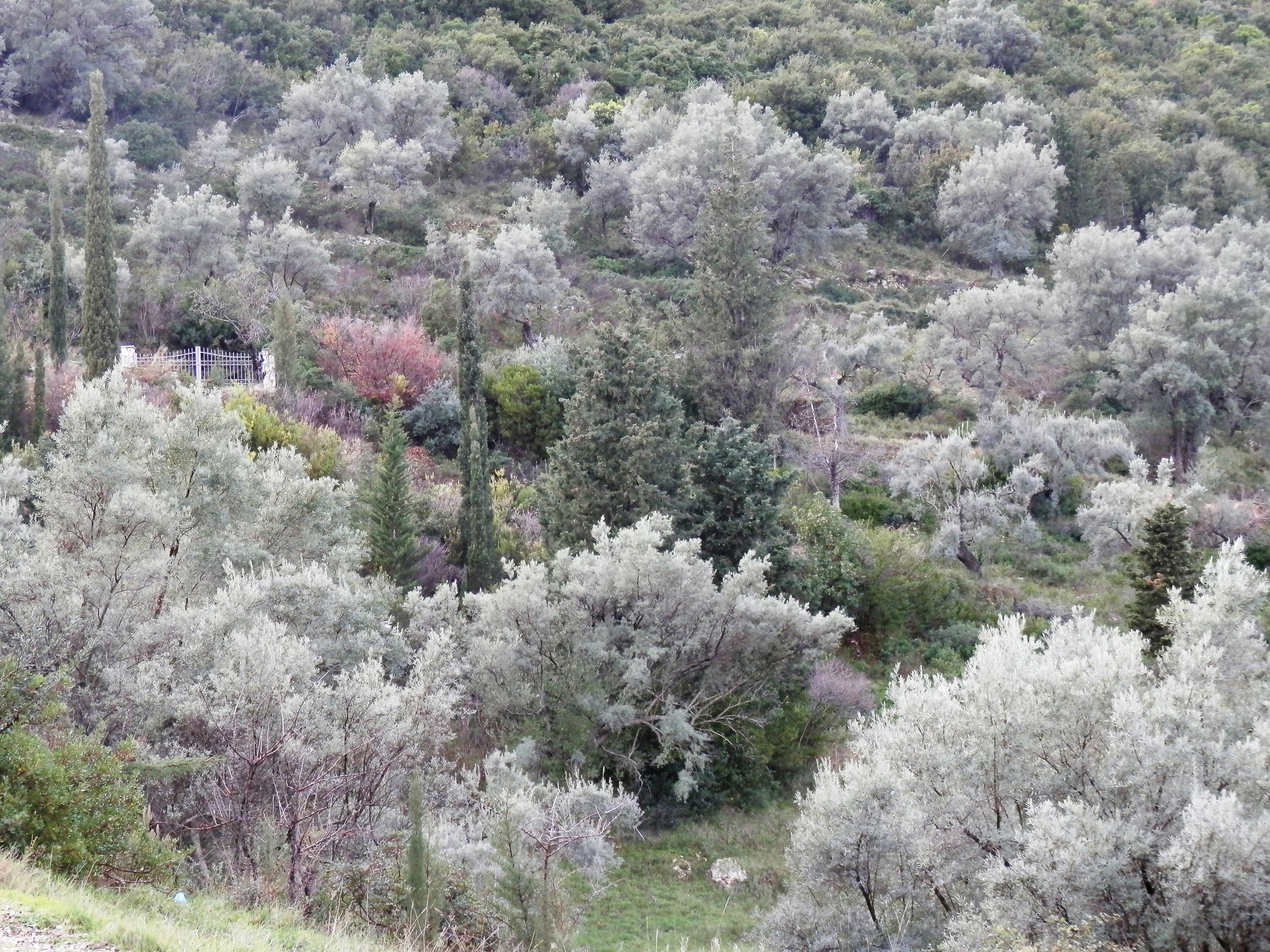 Lefkas landscape images