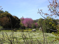 Lefkas landscape images