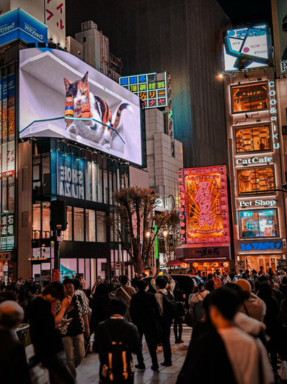 החתול התלת מימדי בשינג׳וקו