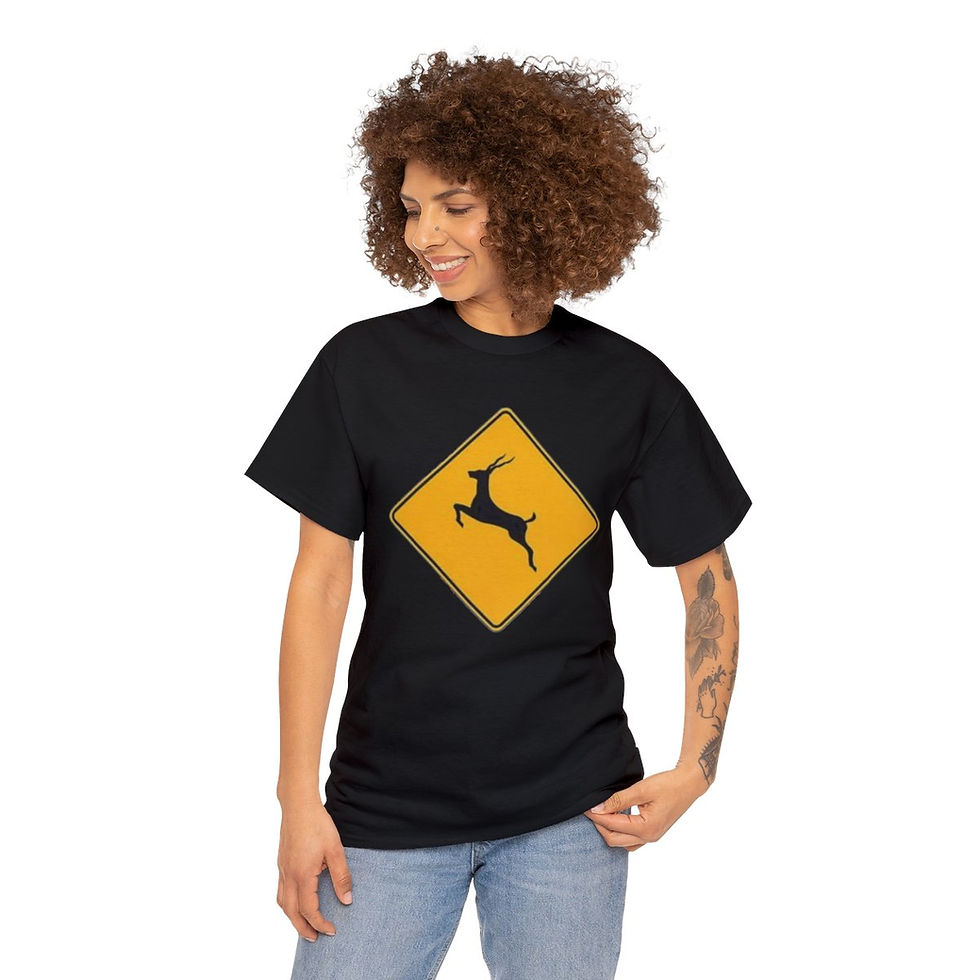 Thumbnail: Phish Run Like An Antelope Music T Shirt