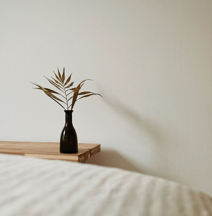 brown and green plant on brown wooden table_edited.jpg