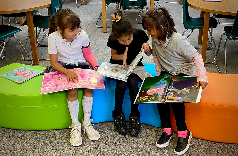 Grant Elementary School - Library Refurbishment
