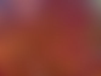 Whose Glasses Are These?