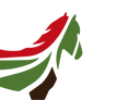 garrano_cor.png