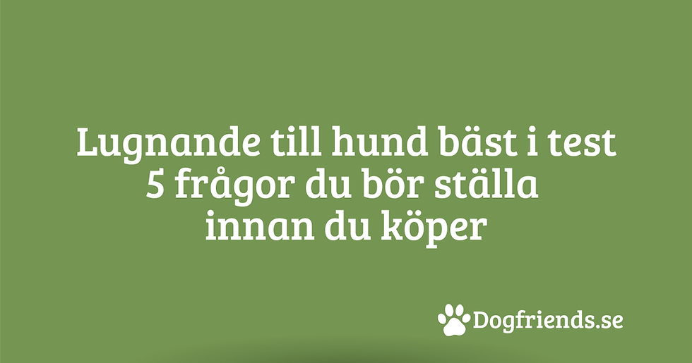 Lugnande till hund bäst i test