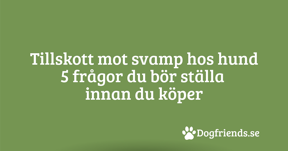 tillskott svam hund