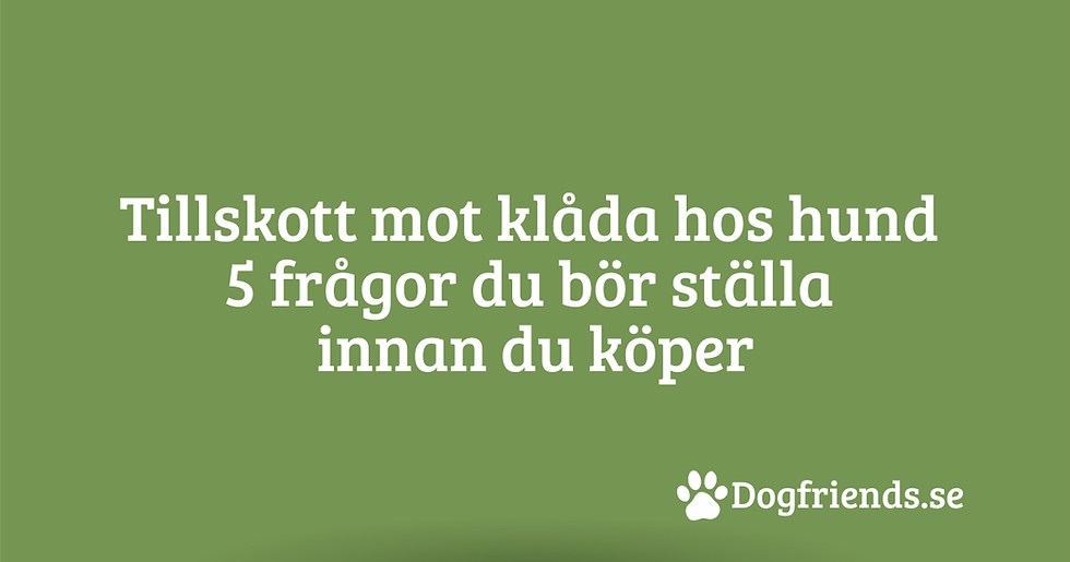 Tillskott mot klåda hos hund – 5 frågor du bör ställa innan du köper