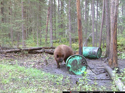 image 12.BMP