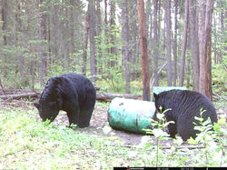 image 7.BMP