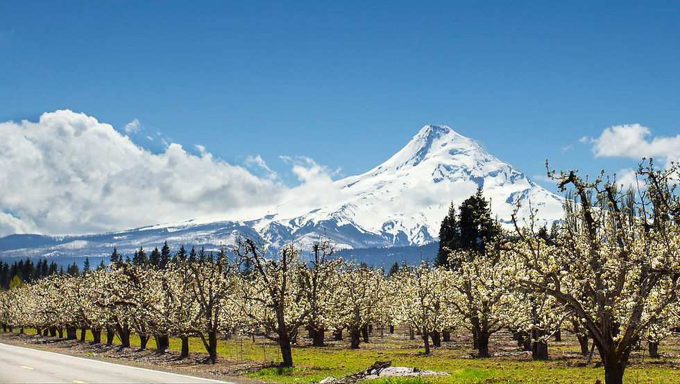 Hood River, OR