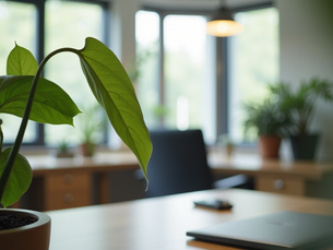 Top Webinar Insights for Advancing Organizational Health