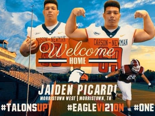 Jaiden Picardi