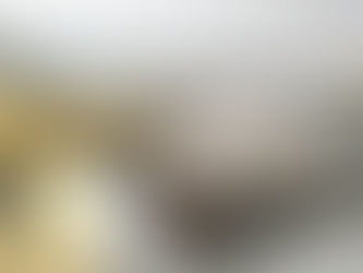 Why Choose Private Over Public Universities? A Comprehensive Guide