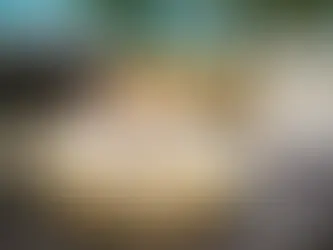 Celebrate in Style: Tips for Planning an Extravagant Graduation Party