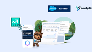 Tích hợp Salesforce Sales Cloud + ERP cho nhà sản xuất: Hướng dẫn kiến trúc dành cho CIO và IT Director