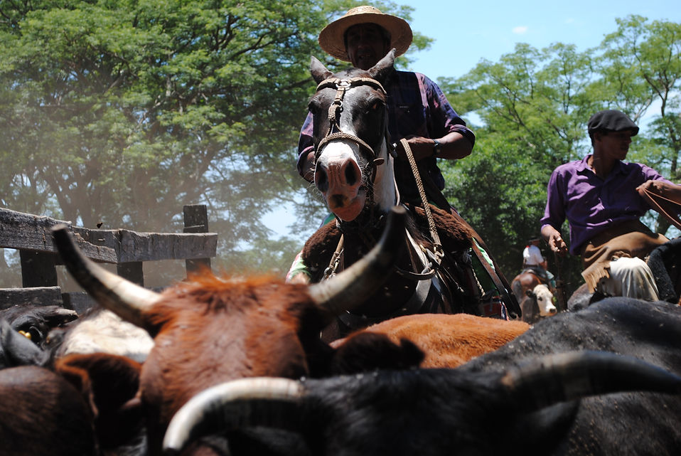 1 a 1LOS GAUCHOS (70).JPG