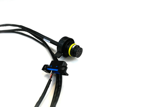 Maxx 8HP Wire Harnesses | 